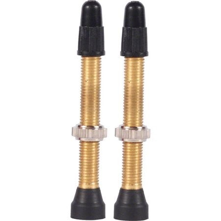 WTB Brass TCS Valves